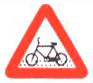 Cycle Crossing